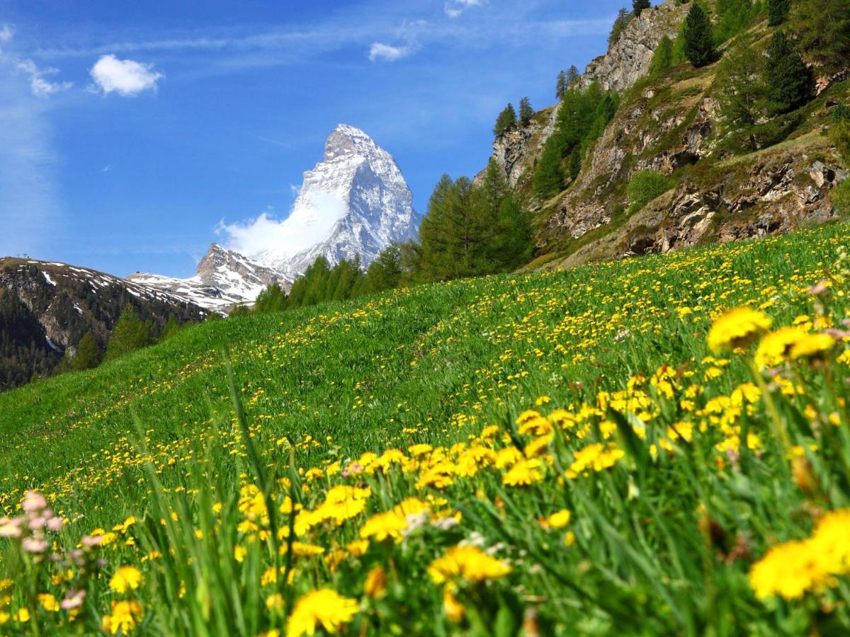 Apartment Fis By Interhome Zermatt Exterior foto